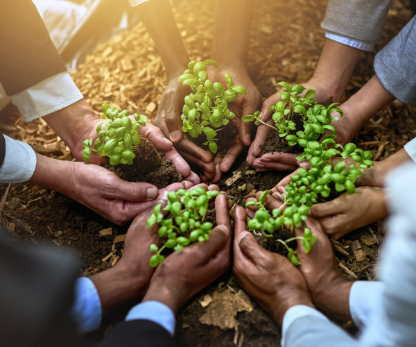 Sustainable Agriculture