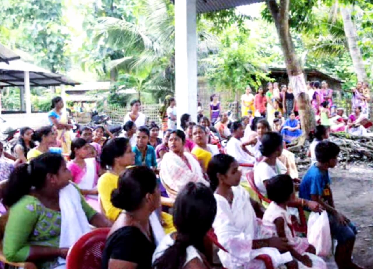 White Revolution Photo 51