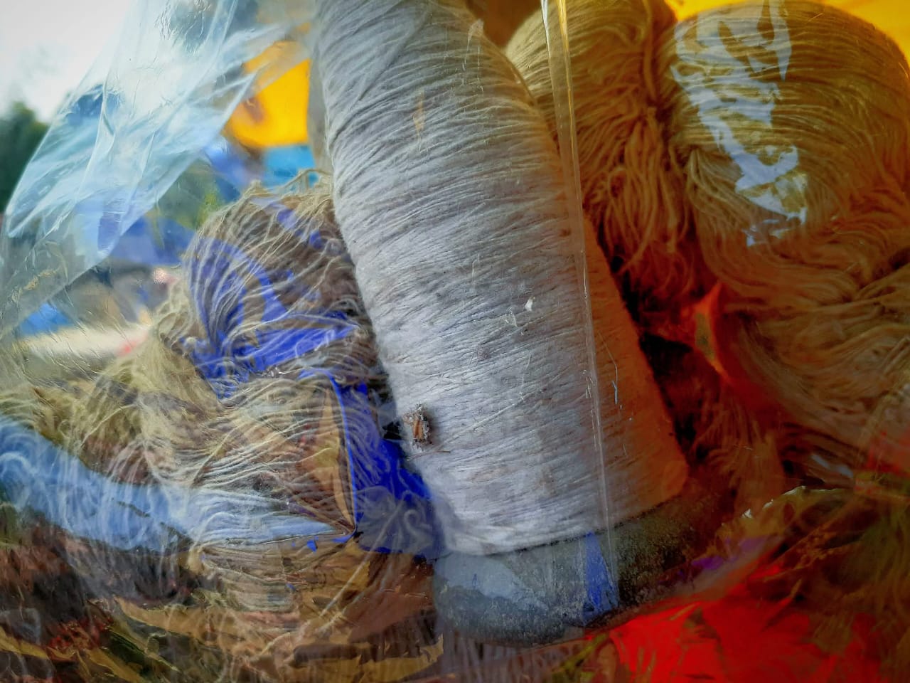 Love Is All We Need Photo 2